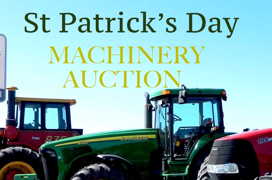 Auction Photo